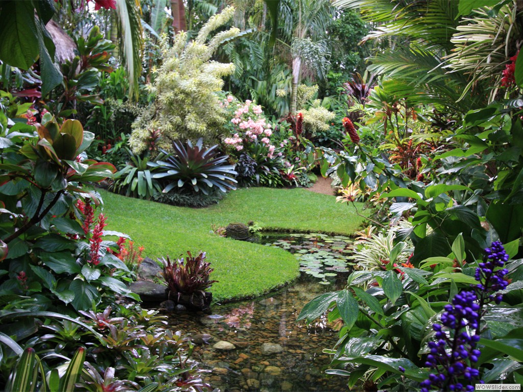 Một khu vườn nhiệt đới với hình dáng tự nhiên, mềm mại của địa hình.