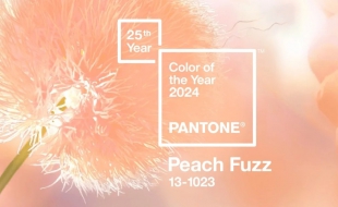 Bạn đã cập nhật bộ màu năm 2024 chưa?